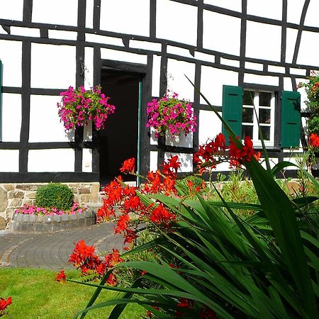Gaestehaus Wahnenmuehle Erkrath Exteriör bild