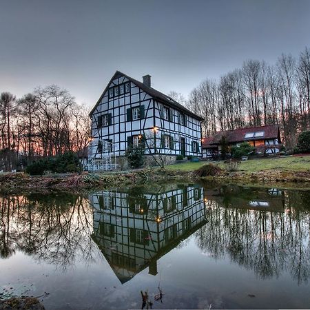 Gaestehaus Wahnenmuehle Erkrath Exteriör bild